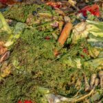 compost, garbage, biological-3663514.jpg